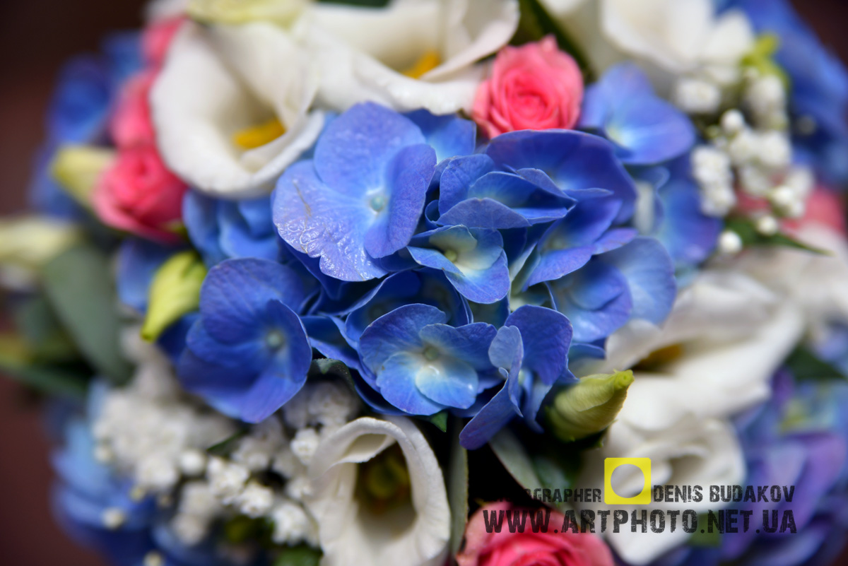 Фотограф на весілля в Полтаві