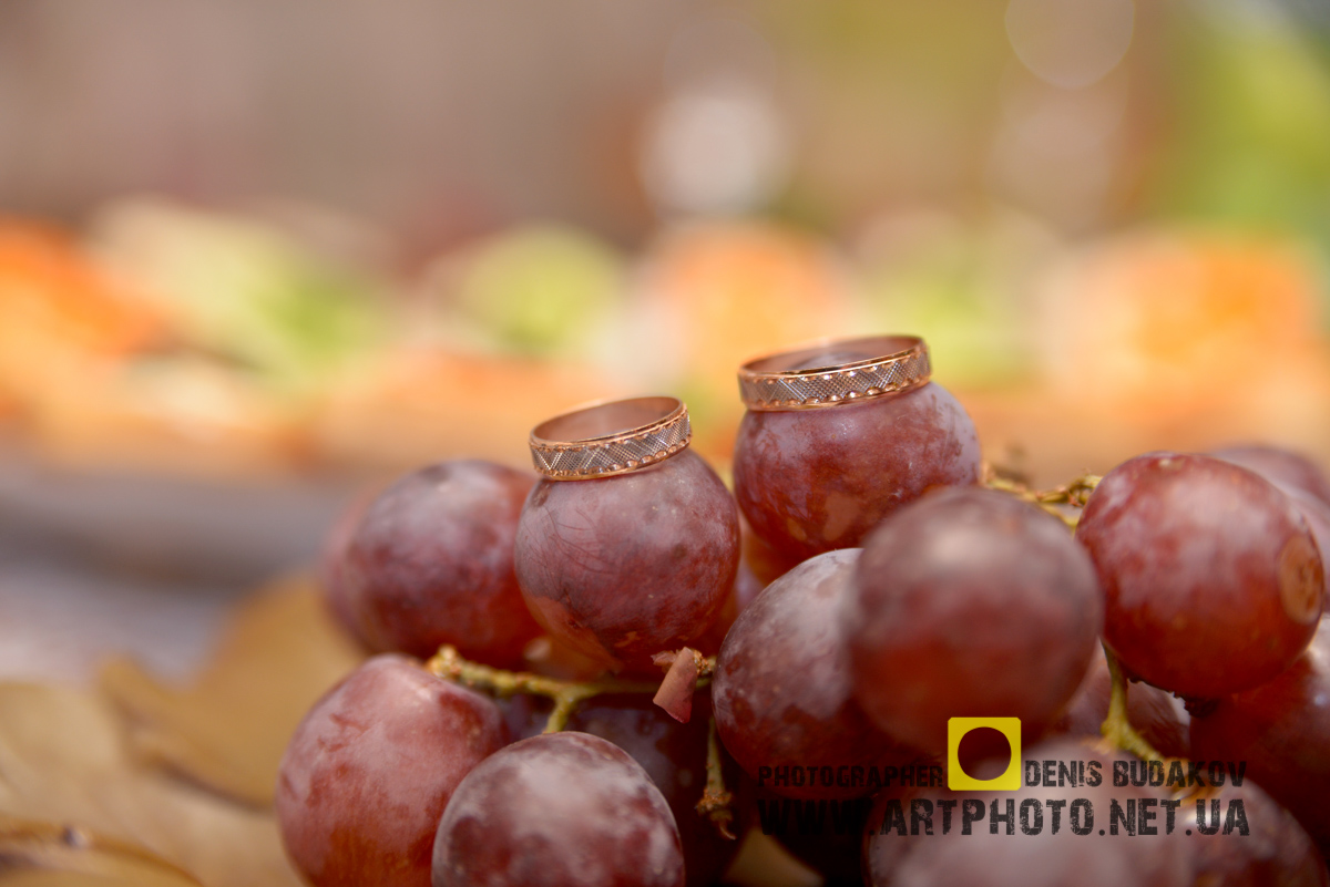 Фотограф на весілля в Полтаві