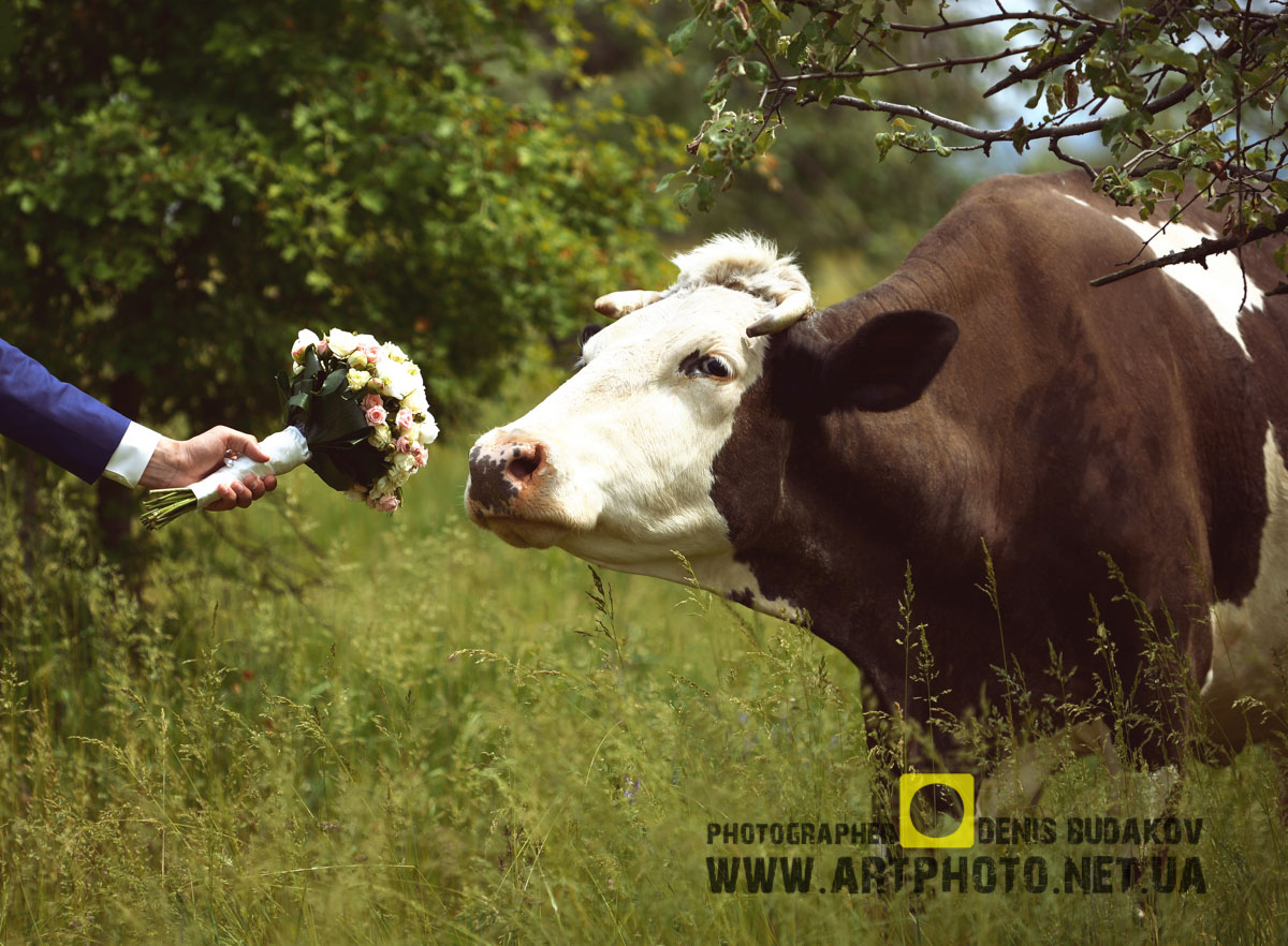 Фотограф на весілля в Полтаві